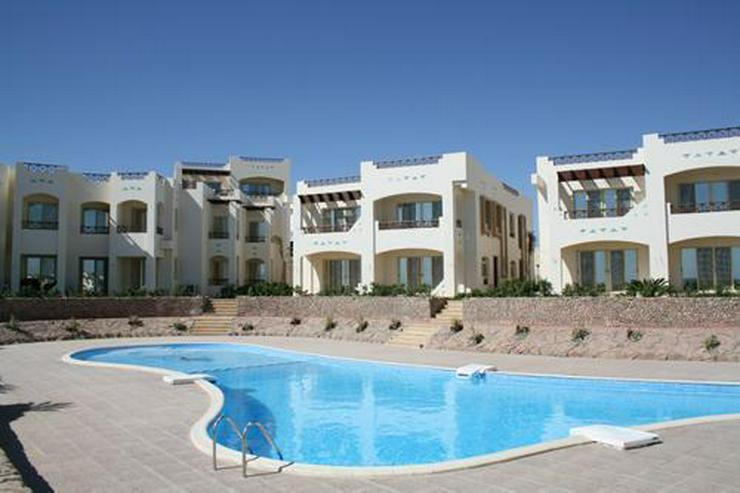 Bild 1: Meerblickapartments im Sharks Bay Resort - bezugsfertig - Sharm El Sheikh