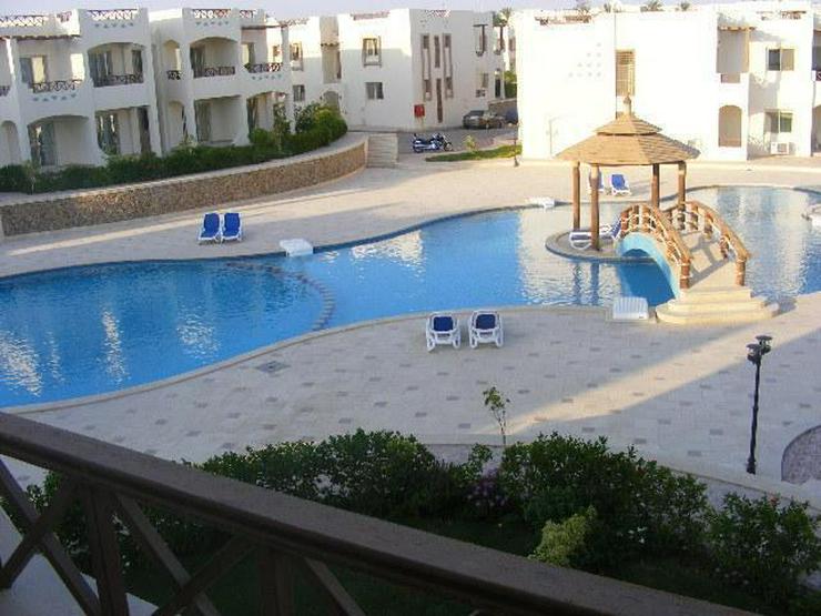 Bild 4: Meerblickapartments im Sharks Bay Resort - bezugsfertig - Sharm El Sheikh