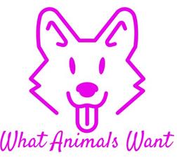 Hartl Online Marketing / What Animals Want 